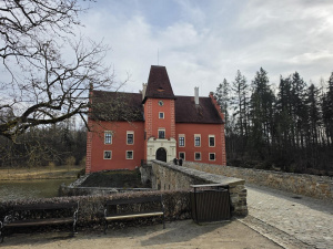 20260308 140104 20260308 140104