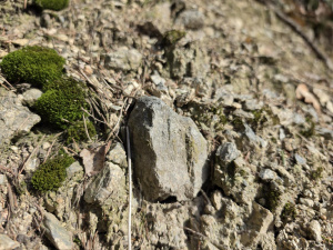 20260308 140955 20260308 140955