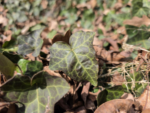 20260308 141610 20260308 141610