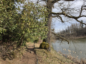 20260308 144416 20260308 144416