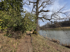 20260308 144417 20260308 144417