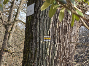 20260308 144429 20260308 144429