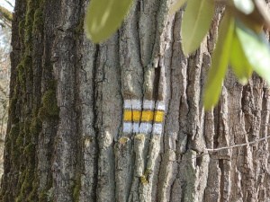 20260308 144433 20260308 144433