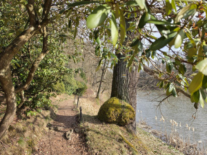 20260308 144439 20260308 144439