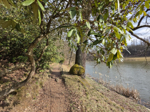 20260308 144442 20260308 144442