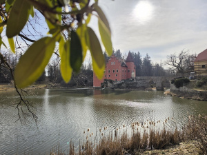 20260308 144540 20260308 144540