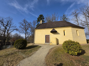 20260308 152924 20260308 152924