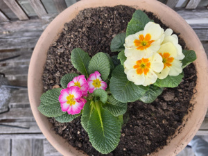 20260308 173416 20260308 173416