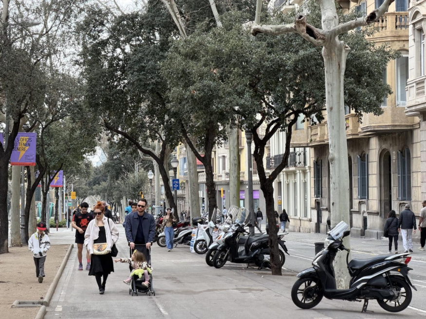 iPhone 17 Pro Max (4×, 100 mm) iPhone 17 Pro Max (4×, 100 mm)