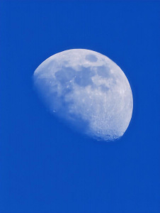 Img 20260226 165056 Img 20260226 165056