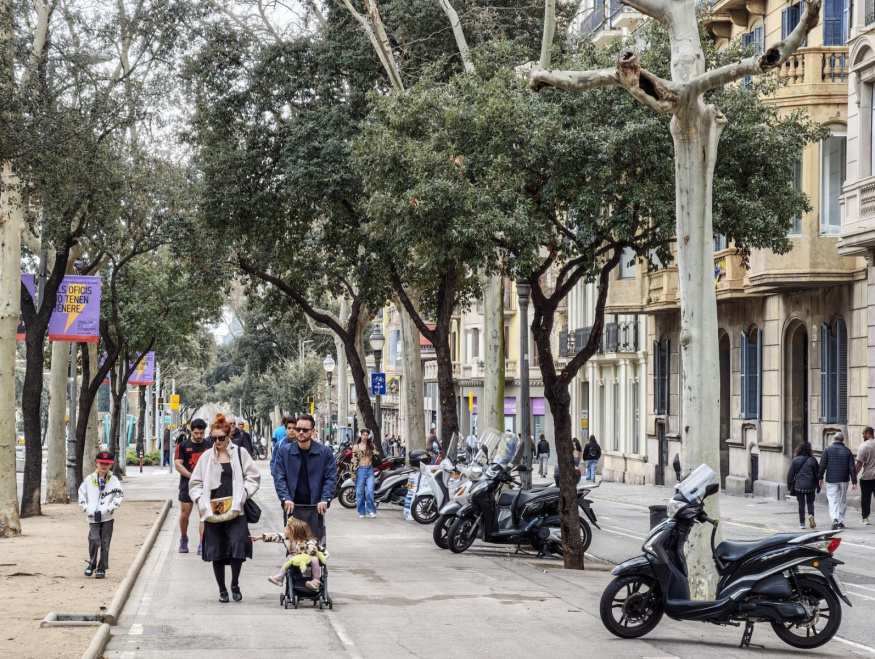 Xiaomi 17 Ultra (4,3×, 100 mm) Xiaomi 17 Ultra (4,3×, 100 mm)