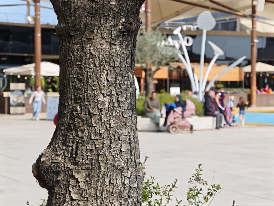 Xiaomi 17 Ultra (4,3×, 100 mm) Xiaomi 17 Ultra (4,3×, 100 mm)