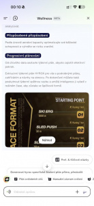 Komunikace s AI ohledně HYROXu Komunikace s AI ohledně HYROXu