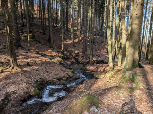 Google Pixel 10a Galerie 59 Google Pixel 10a Galerie 59