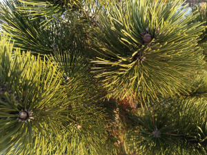 Nothing Phone 4a Galerie 112 Nothing Phone 4a Galerie 112