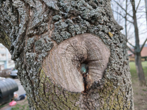 Nothing Phone 4a Galerie 122 Nothing Phone 4a Galerie 122