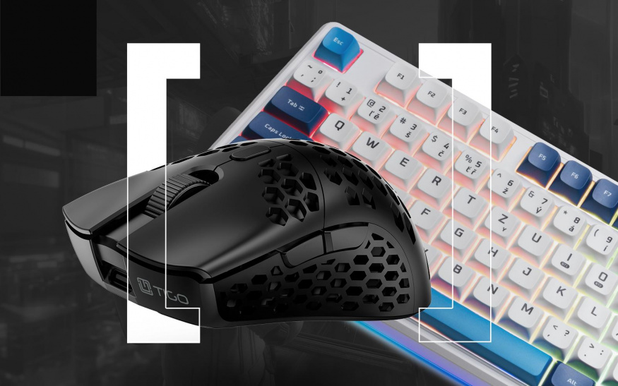 Herní myš (ilustrační obrázek) Herní myš (ilustrační obrázek)