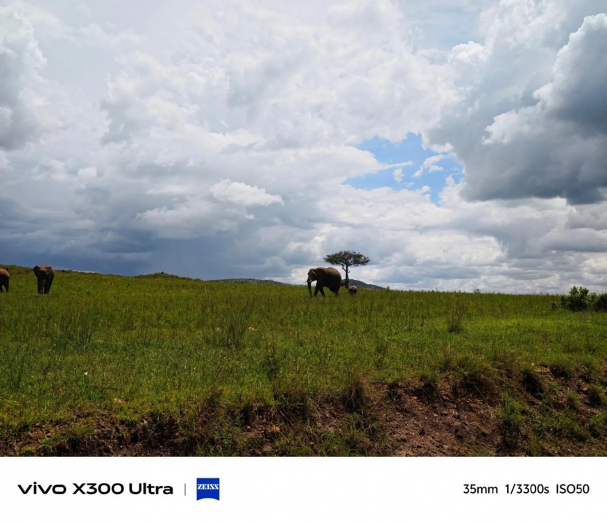 Fotografie pořízená Vivem X300 Ultra Fotografie pořízená Vivem X300 Ultra