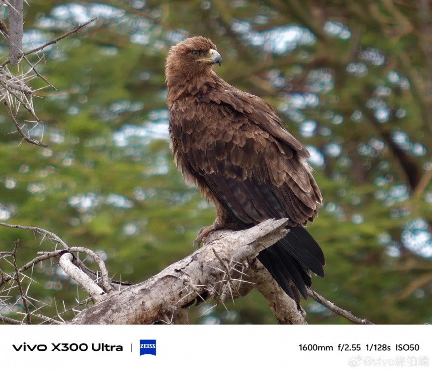 Fotografie pořízená Vivem X300 Ultra Fotografie pořízená Vivem X300 Ultra