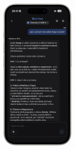 Google AI Edge Gallery v akci Google AI Edge Gallery v akci
