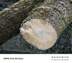 10× optický zoom, teleobjektiv