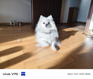 Img 20260324 075627 Img 20260324 075627