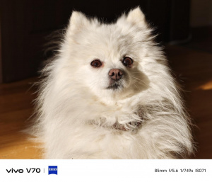 Img 20260324 075633 Img 20260324 075633