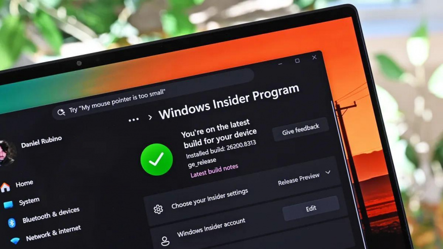 Program Windows Insider