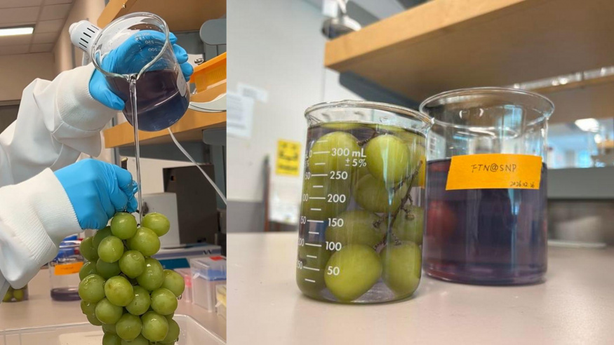 Odstranění zbytků pesticidů pomocí speciální tekutiny