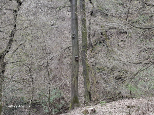 4× zoom