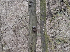10× zoom