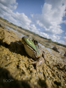 Mobilní fotografie přírody fotografa Stevena Scotta Grogina Mobilní fotografie přírody fotografa Stevena Scotta Grogina