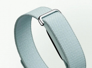 Google Fitbit Air