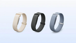 Google Fitbit Air