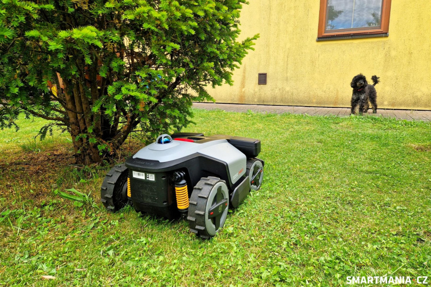 Sekačka v blízkosti keře