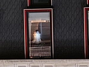 Hlavní fotoaparát – 10× Hlavní fotoaparát – 10×