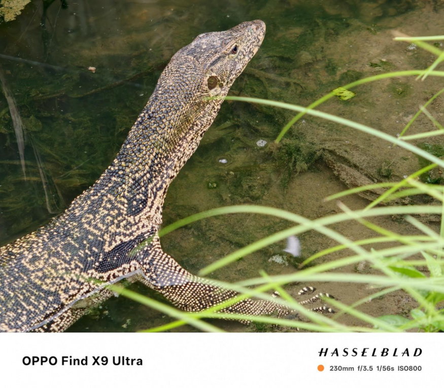 Oppo Find X9 Ultra