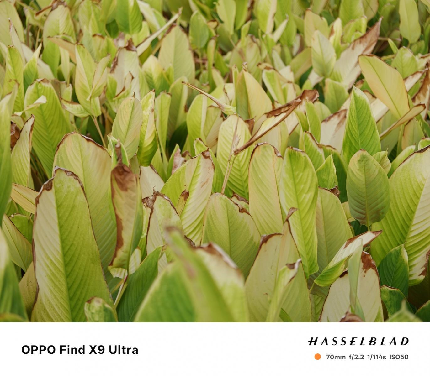 Oppo Find X9 Ultra