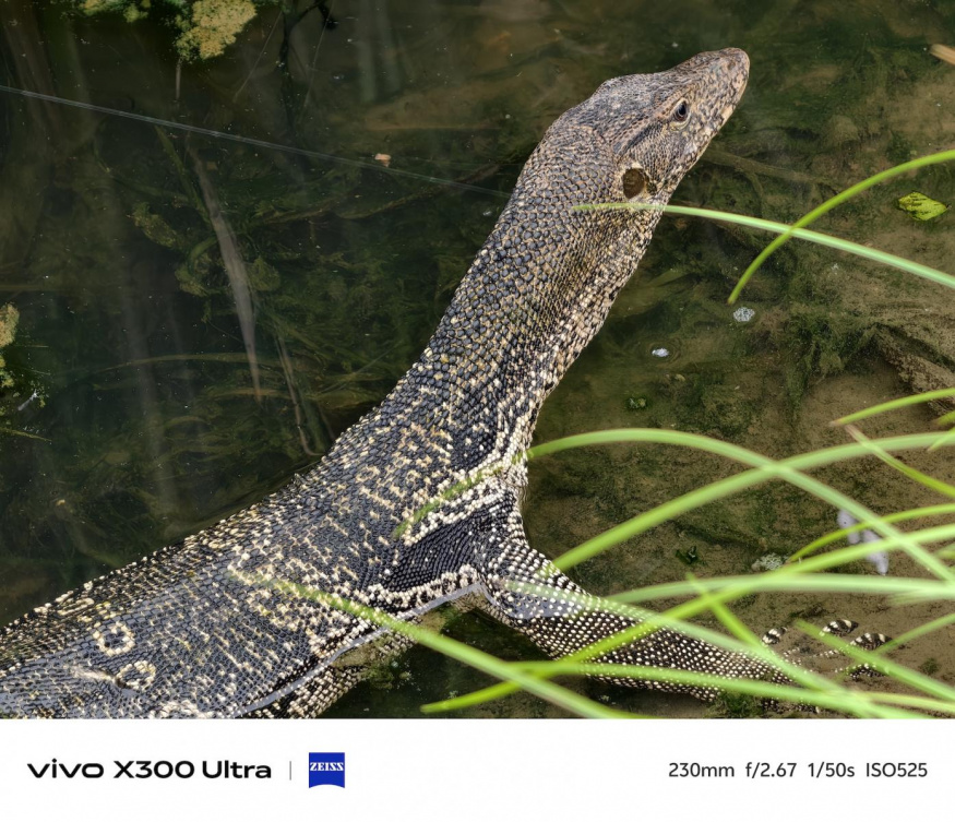 Vivo X300 Ultra
