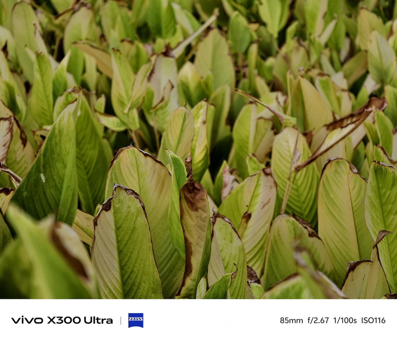 Vivo X300 Ultra