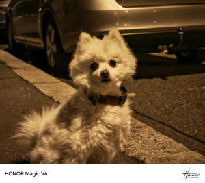 Img 20260710 020159 Img 20260710 020159