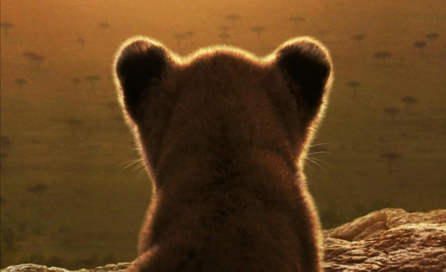 Snímek z dokumentu National Geographic Lion Snímek z dokumentu National Geographic Lion