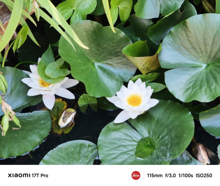 Xiaomi 17T Pro
