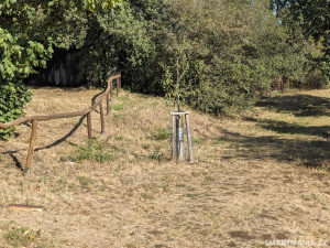 Google Pixel 11 Fotky 34 Google Pixel 11 Fotky 34