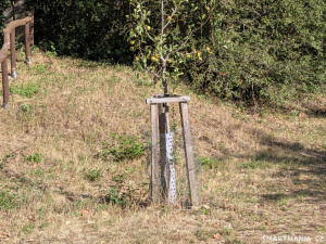 Google Pixel 11 Fotky 35 Google Pixel 11 Fotky 35
