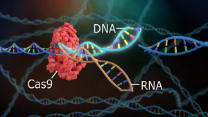 Crispr Scaled