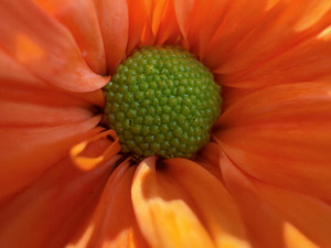 Img 3139 Img 3139