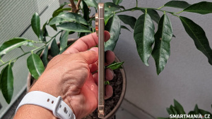Pixel 11 Pro XL Pixel 11 Pro XL