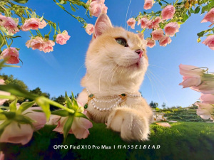 Oppo Find X10 Pro Max Oppo Find X10 Pro Max