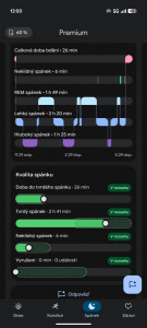 Pixel Watch Screen Obr14 Pixel Watch Screen Obr14